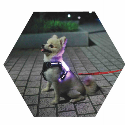 LED Luminous Anti-lost Anti-car Accident Warning Flashing Dog Harness BargainsRule