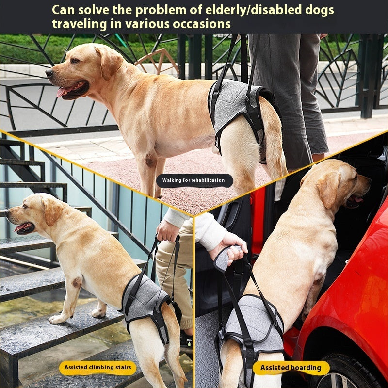 Elderly Dog Outing Back-style Auxiliary Strap