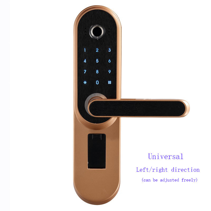 Fingerprint password lock door BargainsRule