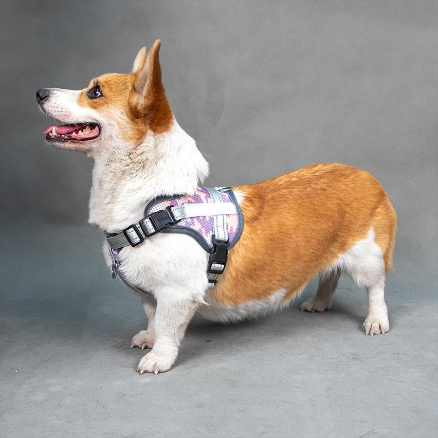 Neck Protection Anti-strangulation Colorful Reflective Pet Harness