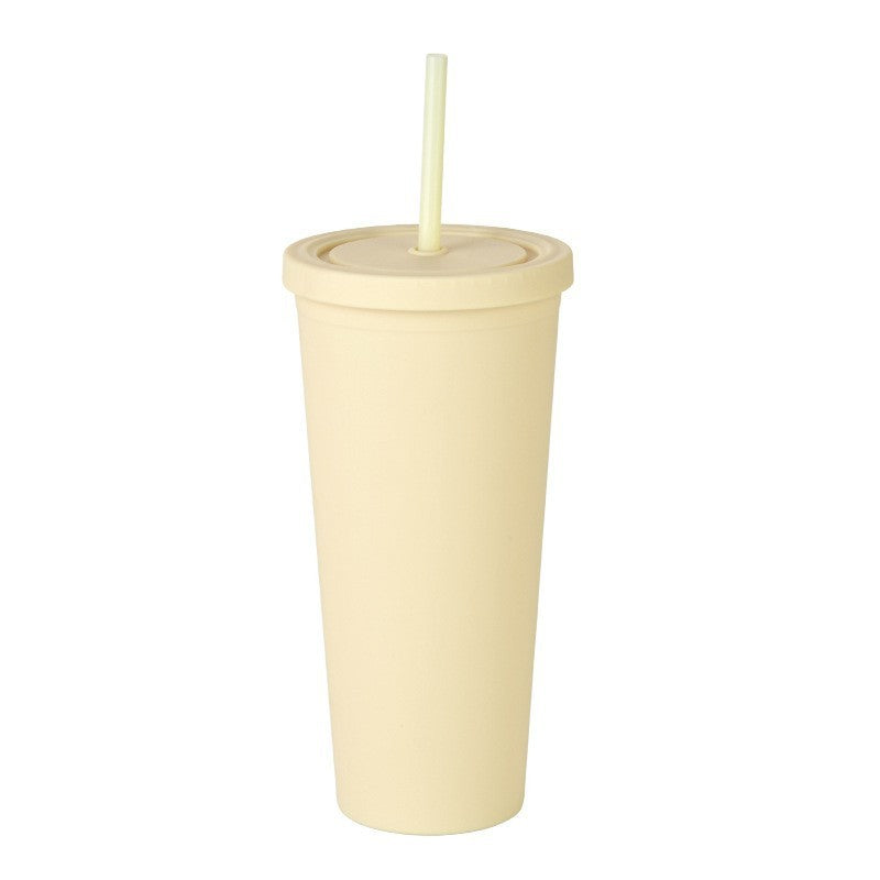 Double Layer Plastic Solid Color Simple Straw Cup